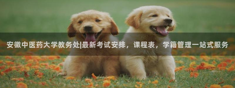 九游会老哥必备的俱乐部交流区