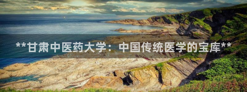 九游会ag登陆