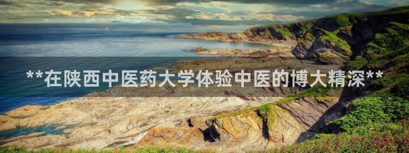 九游会登陆地址