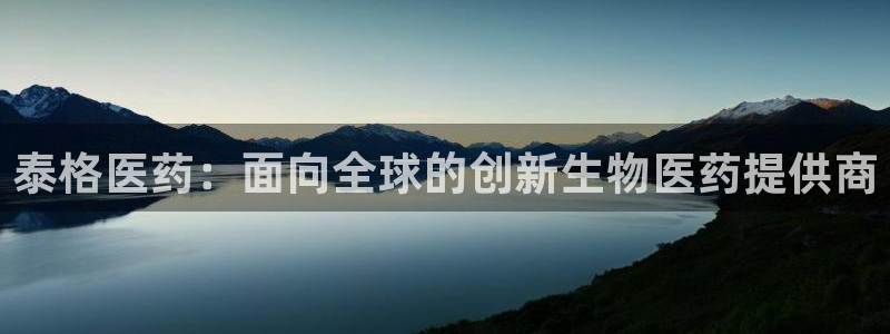 ag九游会官网网址
