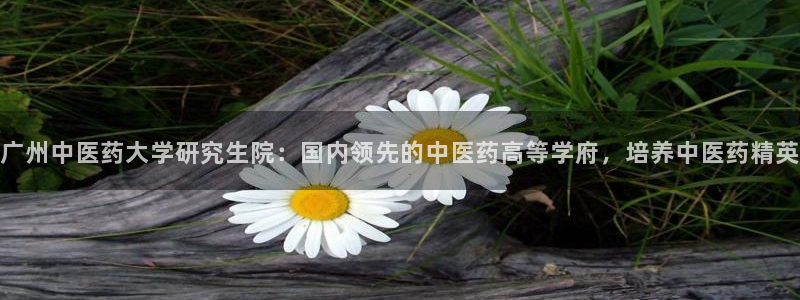 九游J9官方网站