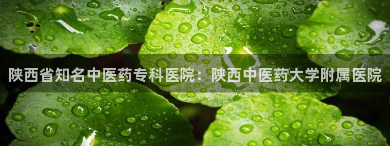 九游j9官方旗舰店