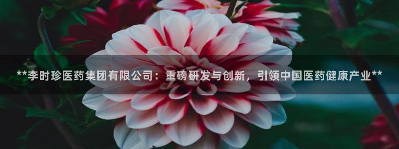 九游会官网老哥俱乐部