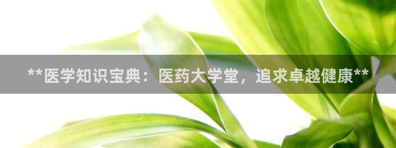 j9九游会老哥俱乐部八戒