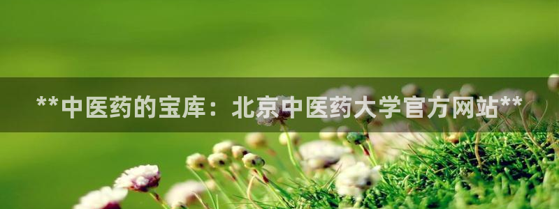 九游会 a g