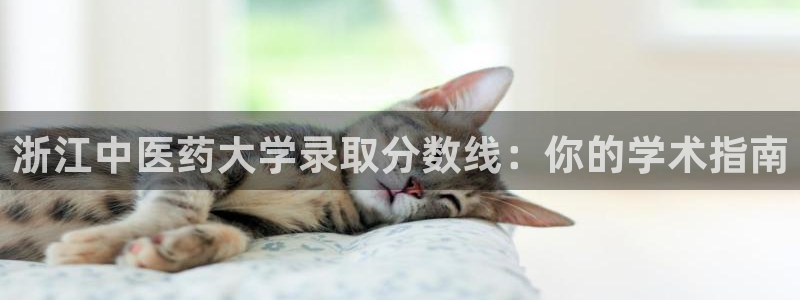 j9九游会黑网