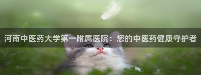 九游会j9官方登录入口