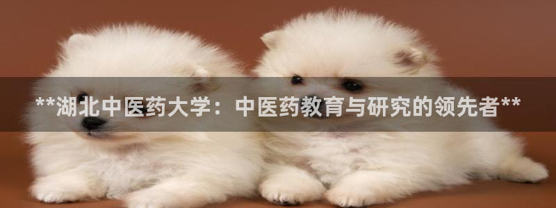 九游会是什么平台