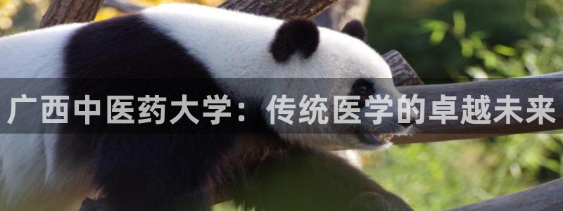 九游会老哥俱乐部必备的交流社区