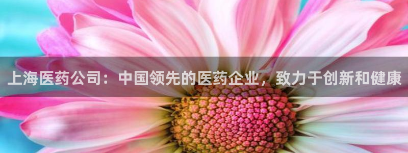 j9官网登录入口