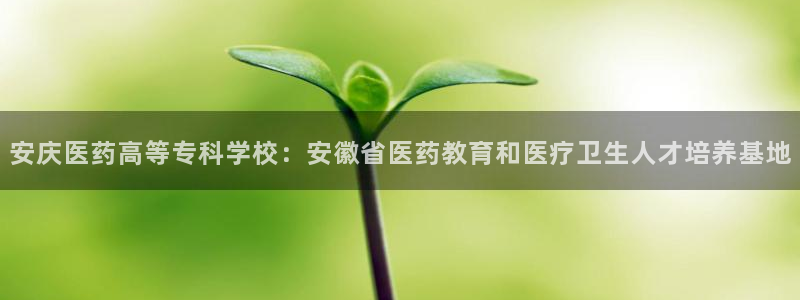 九游会AG登录入口