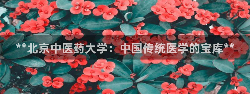 ag老队友