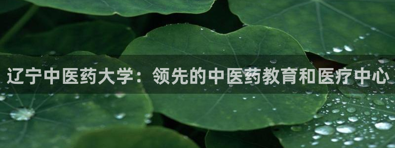 九游会集团登陆