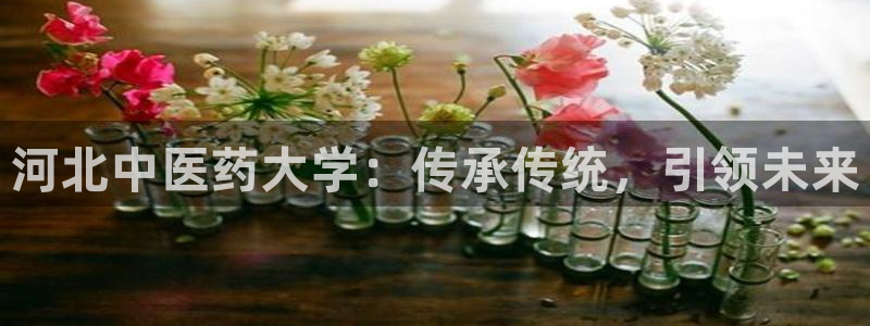 九游会ag老哥俱乐部入口