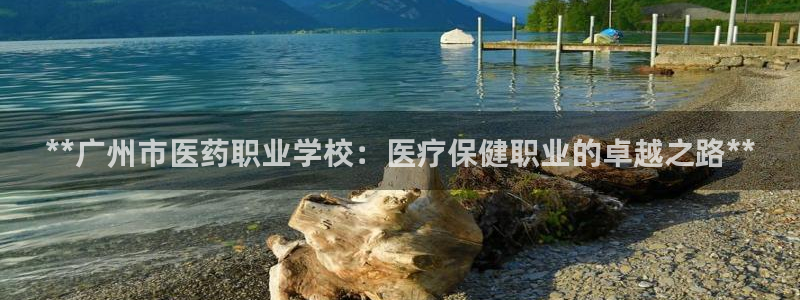 九游会j9官网登陆