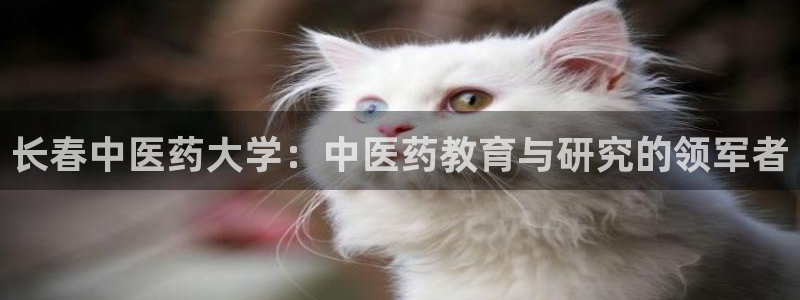 九游会直营
