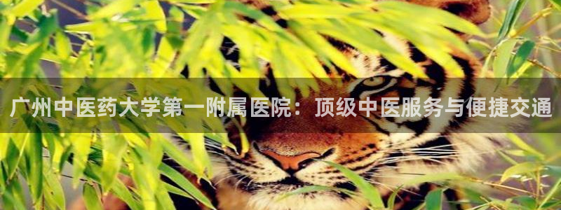 九游会的网址是多少