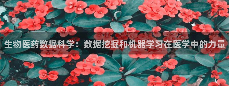 9游会老哥