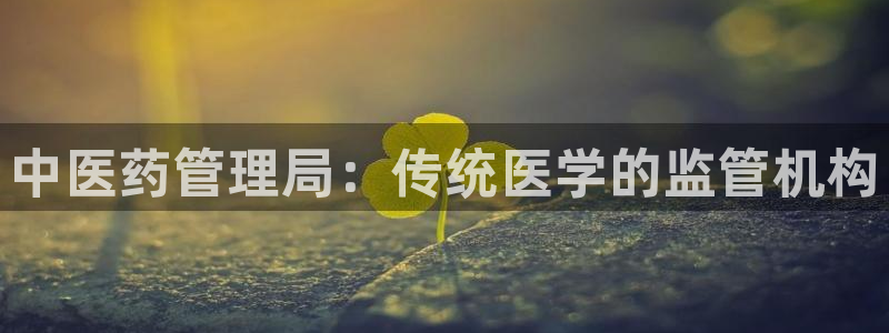j9九游会真人手机版