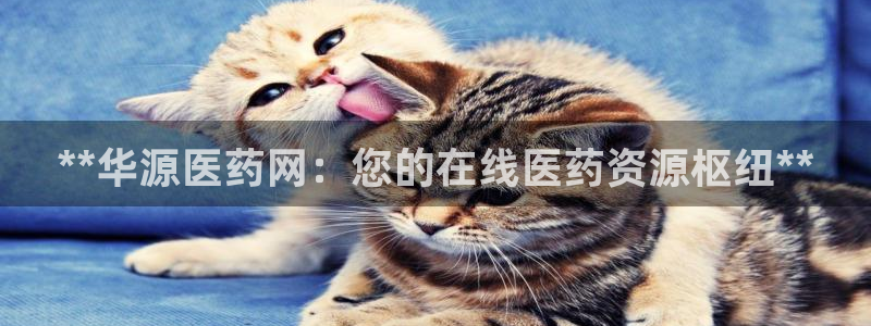 九游会亚洲