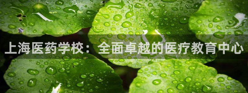 九游会平台怎么样