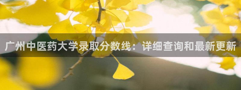 九游j9国际