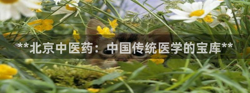 J9九游会网站