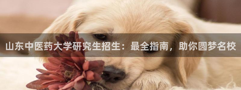 登陆九游会
