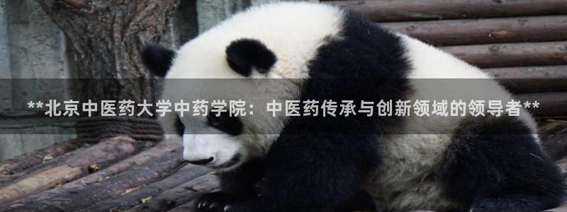 九游会官方网