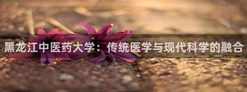 九游会官网登入