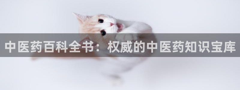 九游会J9官网入口