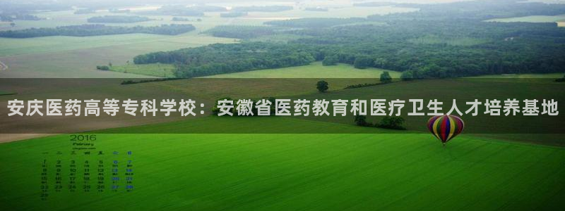 j9九游会官方网站国际怎么样
