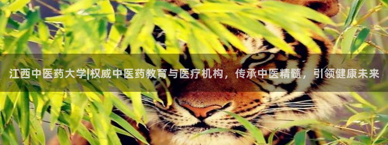 J9九游会强势登录