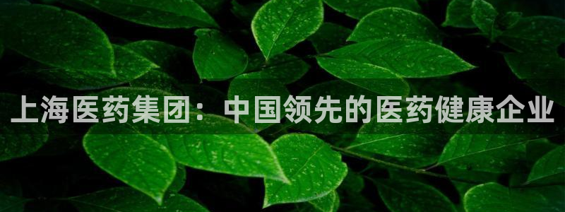 j9九游会永久域名