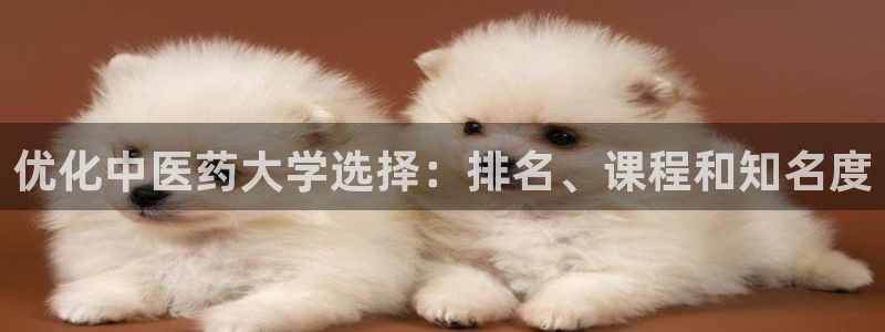 九游j9打不开