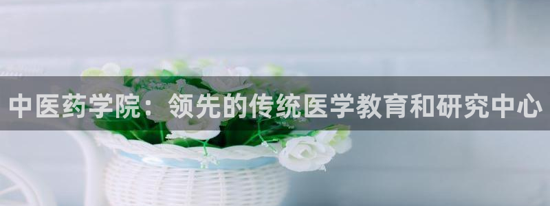 九游会平台登录不上