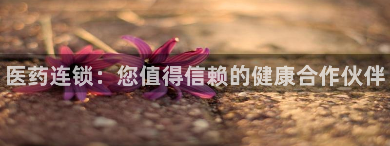 j9九游会官网入口