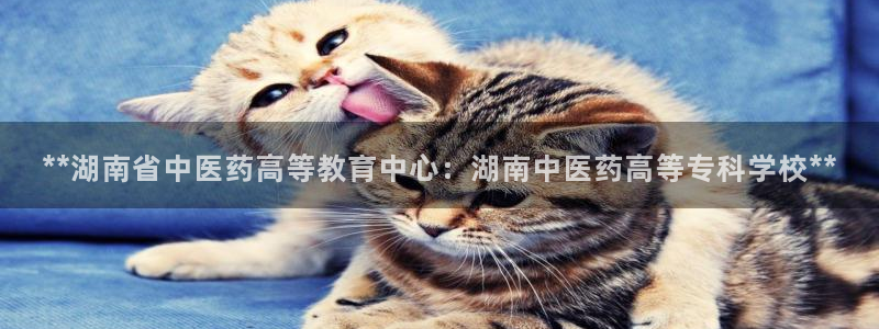 j9九游会跑路了吗