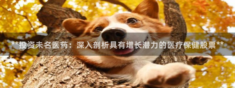 j9九游会官方网站