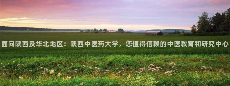 九游会黑吗