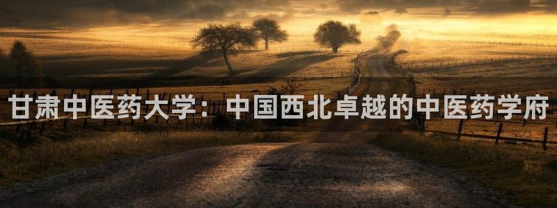 九游会官网 登录网站