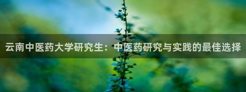九游会在线官方
