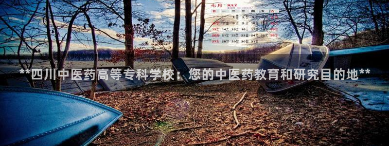 九游会ag网址大全专业版