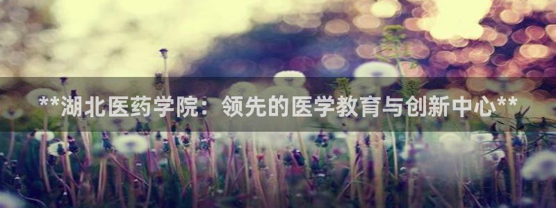 九游会亚洲唯一合作伙伴