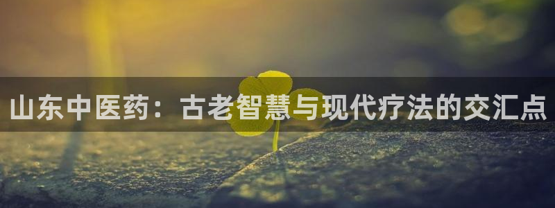 9游会网站登录