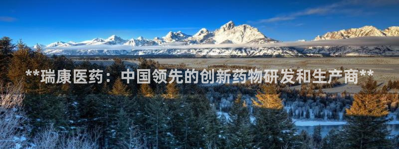 九游会是干嘛的
