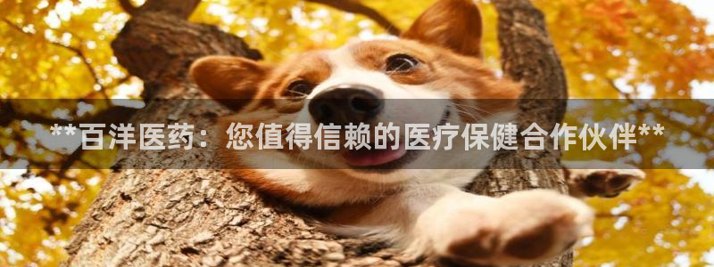 j9九游会网址是什么