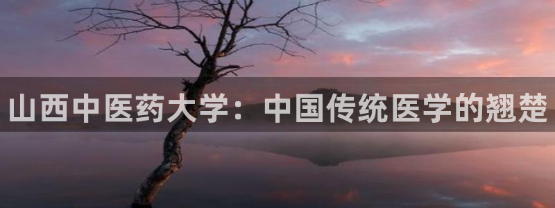 九游会ag平台