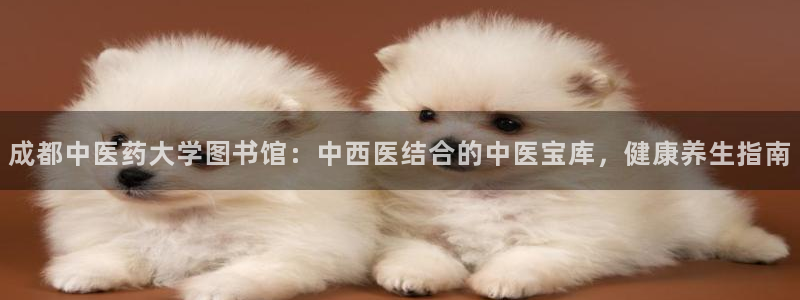 ag九游会登录网站