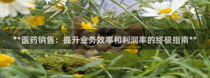九游会官网页登录